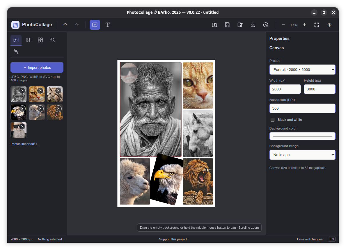 PhotoCollage editor with a photo collage in progress
